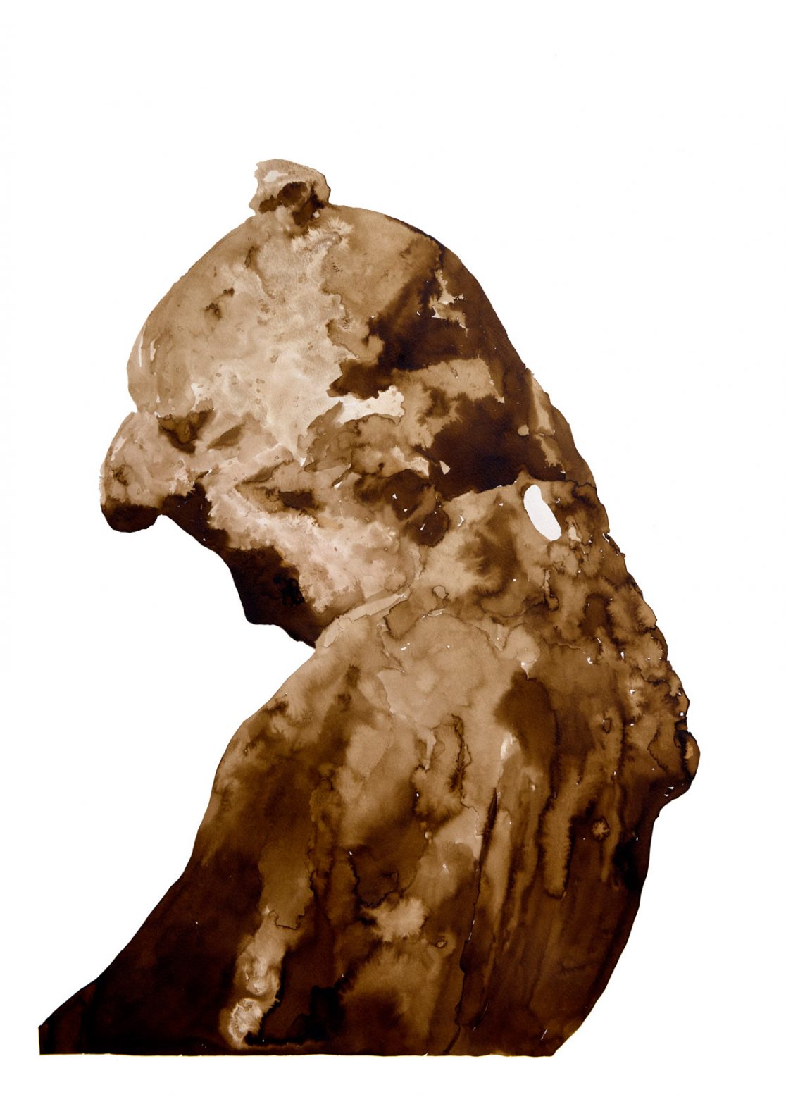 Brou de noix on paper. 60x80cm.