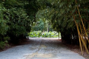 Palermo Botanical Garden