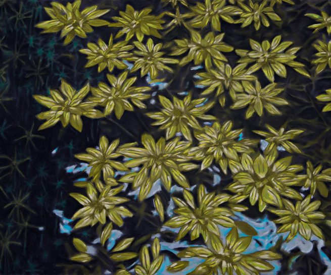 Pastels on paper mounted on board.122x76cm.