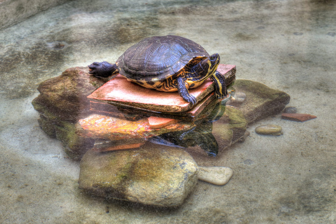 Museo archeologico regionale