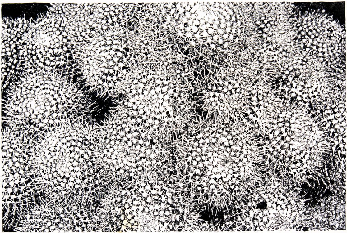 #29. Ink on paper. 61x41cm.