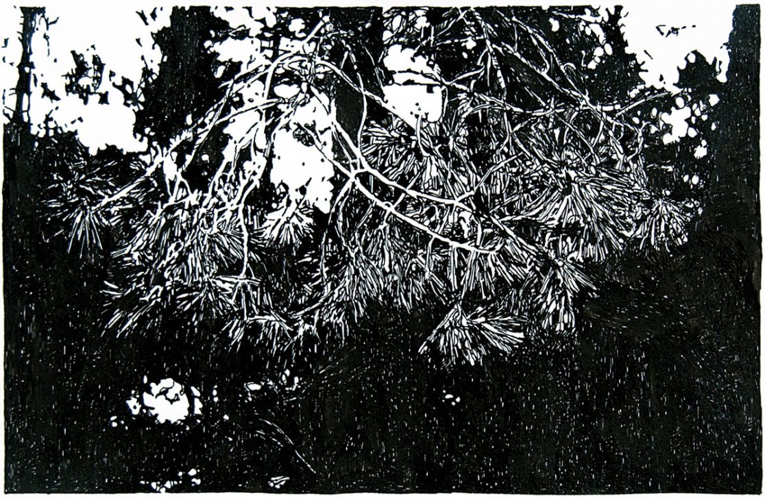 #14. Ink on paper. 42x30cm.