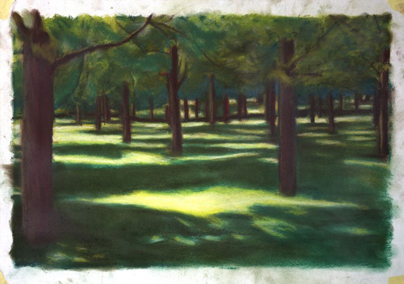 Pastels on paper. 40x30cm